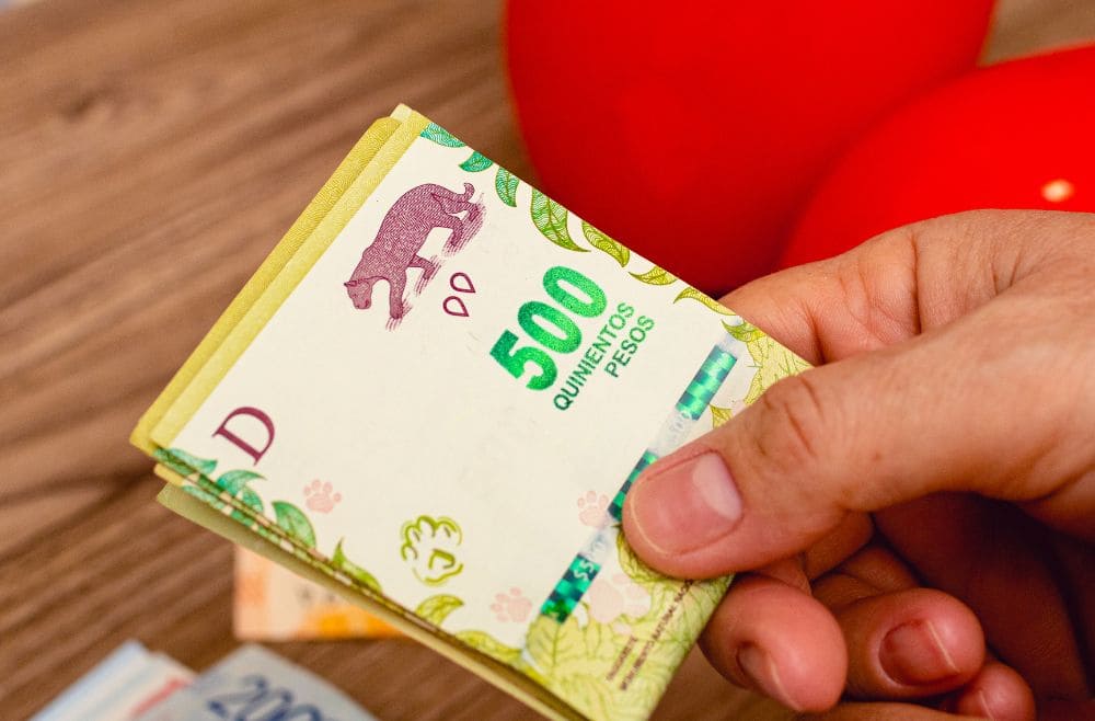 ¿En qué invertir 1000 pesos argentinos en 2024?